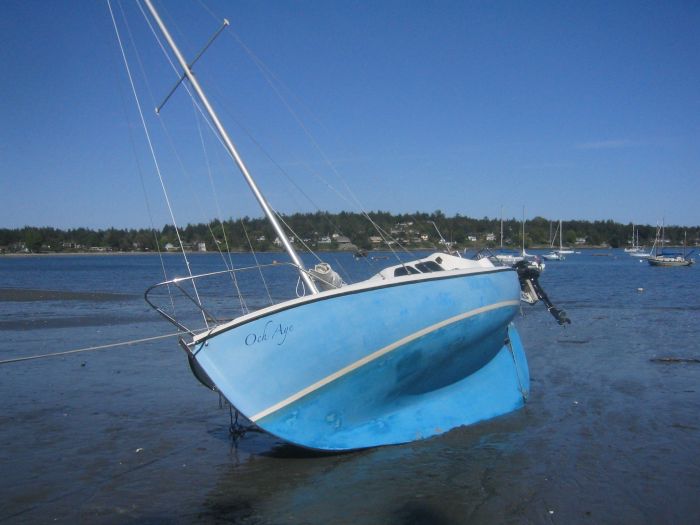 gal/2006-05-05 Careening/IMG_3155.jpg